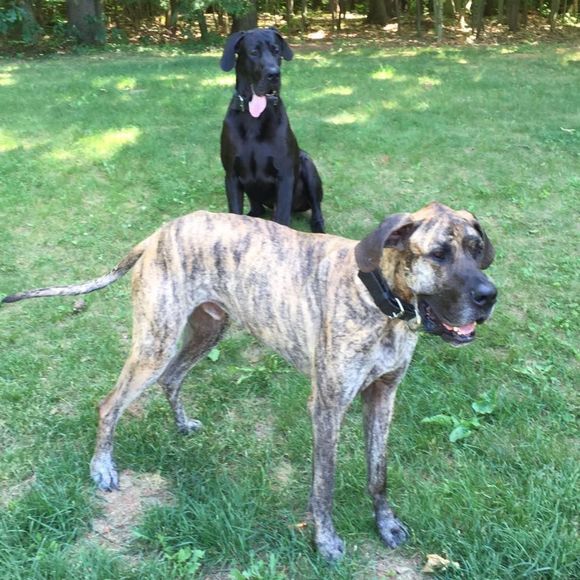 Meet your Posher, Rebecca - Picture 1 of 1